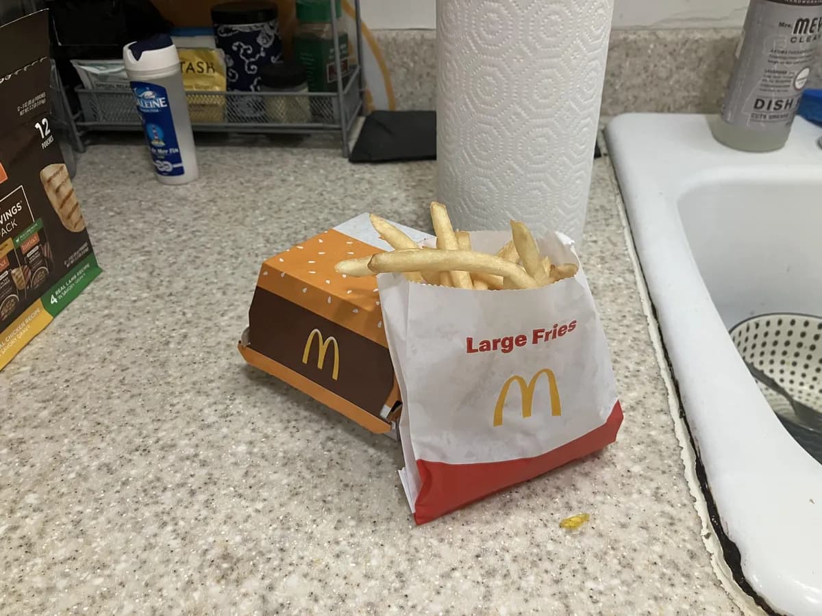 McDonald's Large Fries