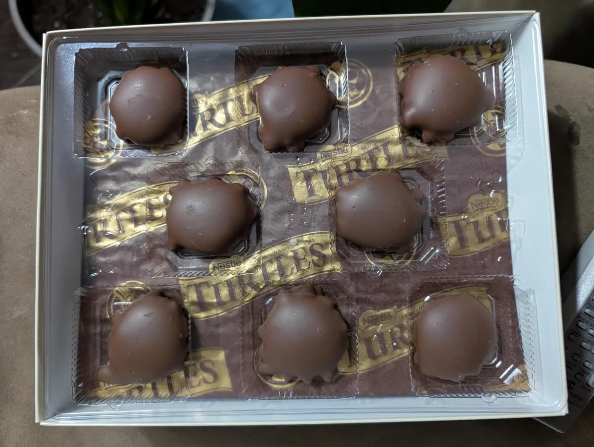 Turtles Turtles Chocolate — 12ct to 9ct