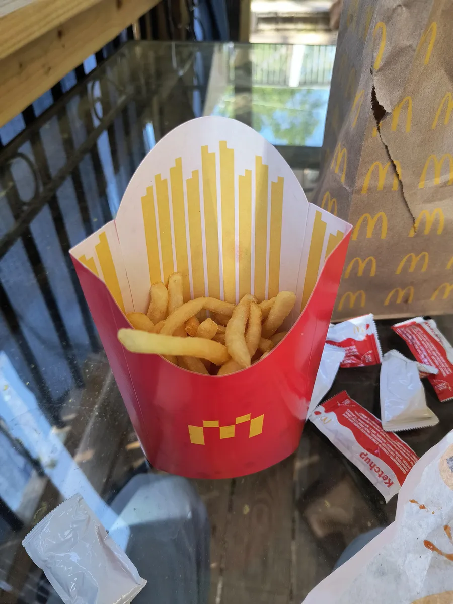 McDonald's Large Fries