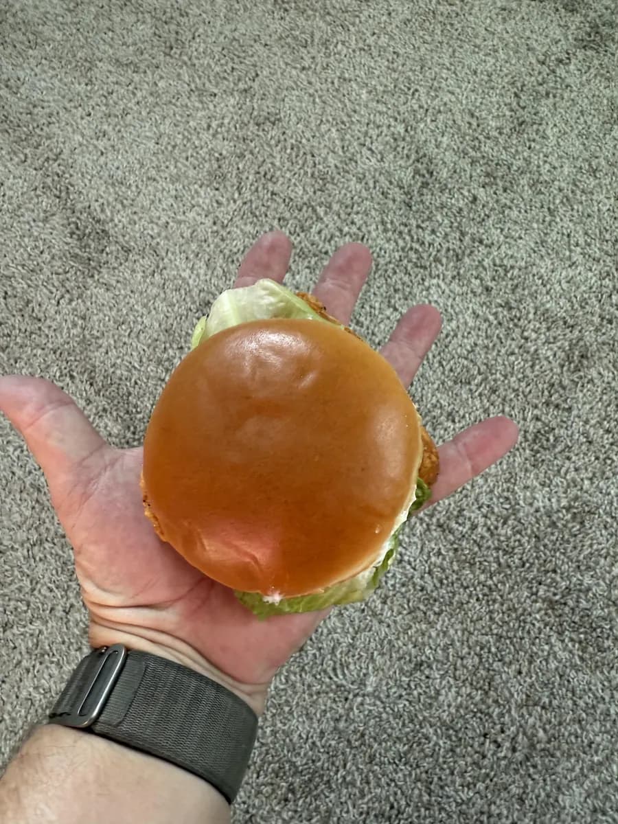 Wendy's Spicy Crispy Chicken