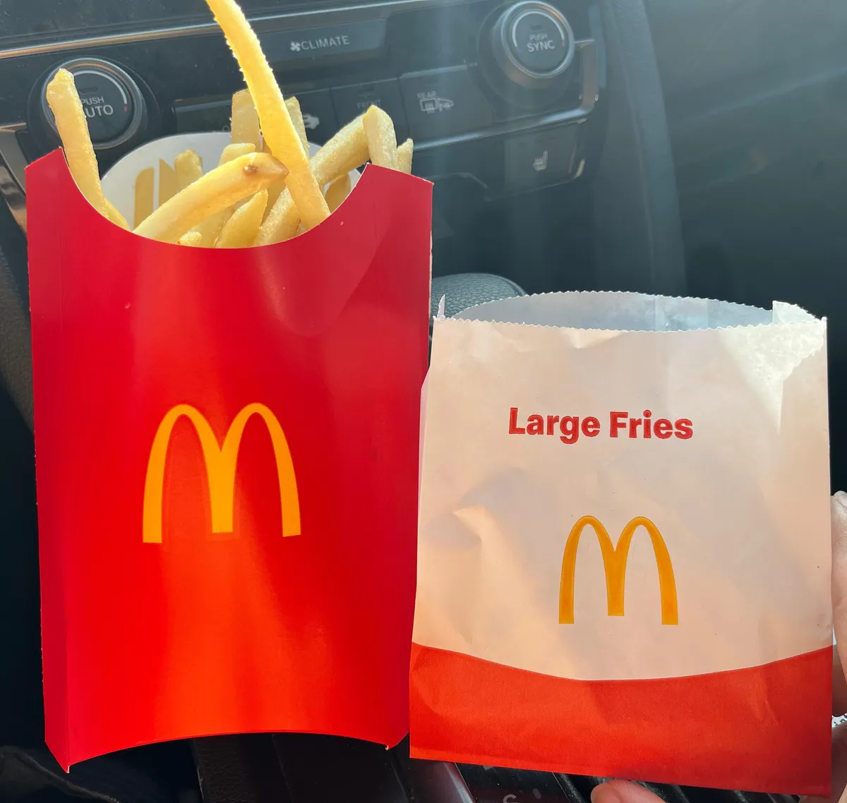 McDonald's Large Fries