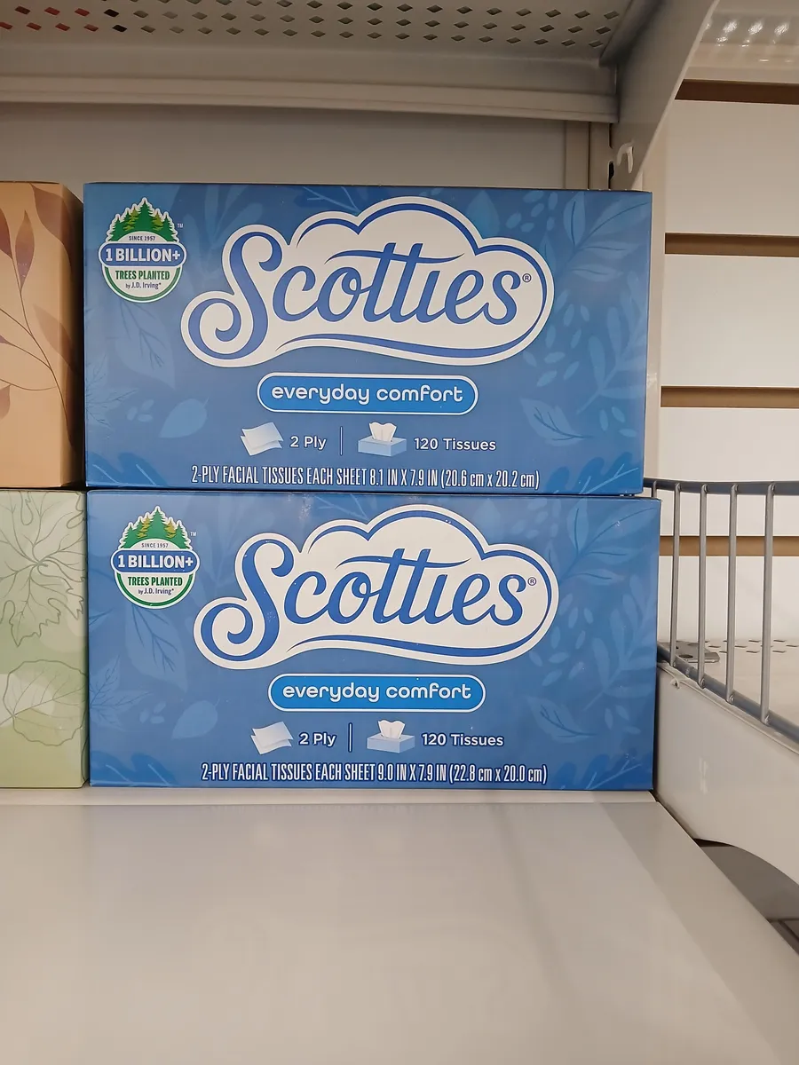 Scotties Tissue boxes — 9in to 8.1in