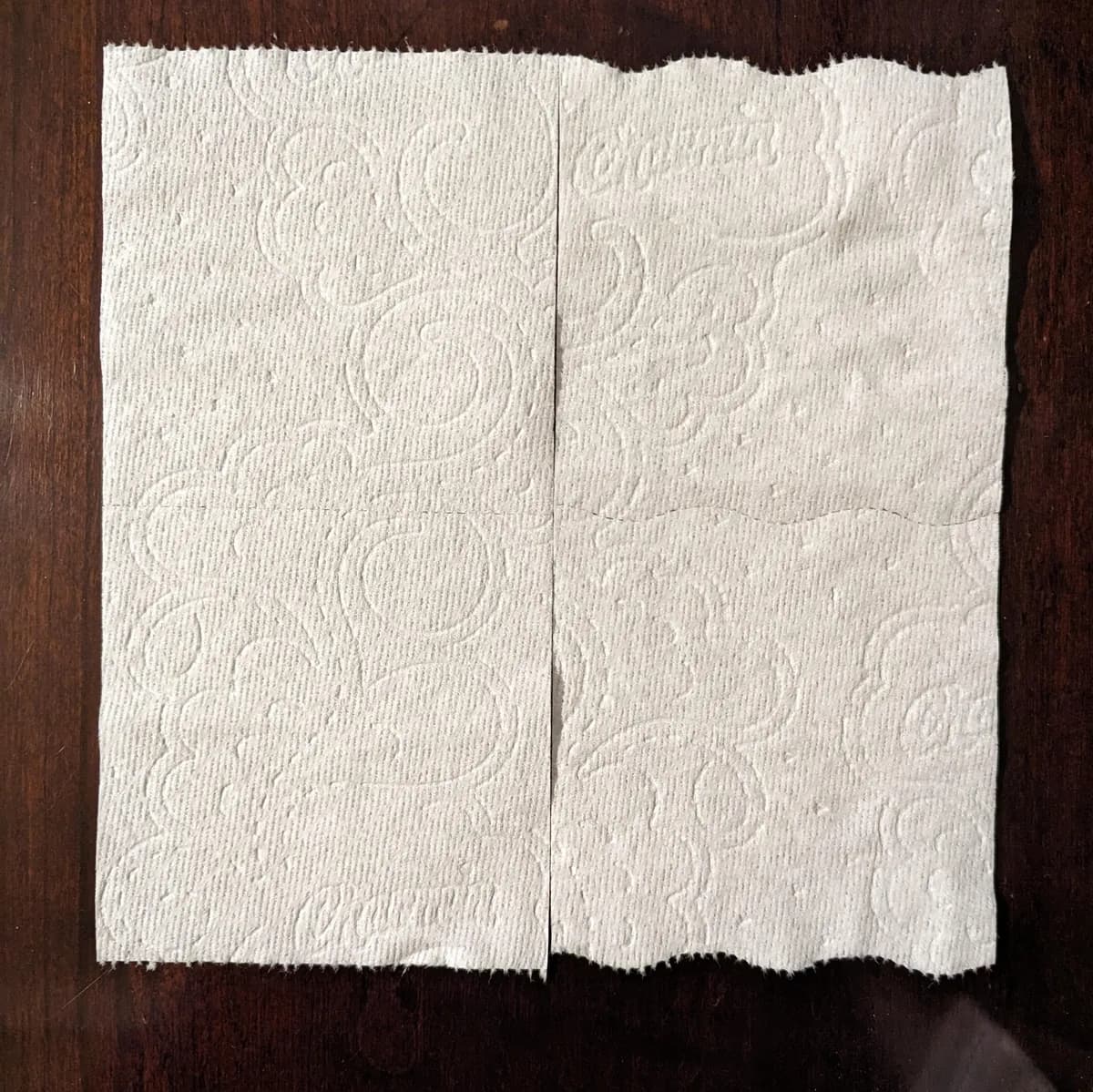 Charmin Ultra Soft