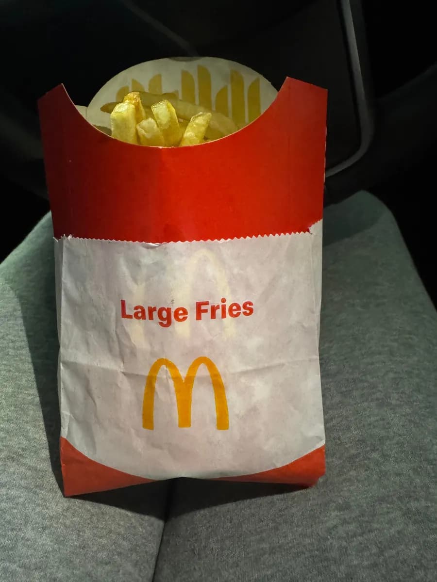 McDonald's Large Fries